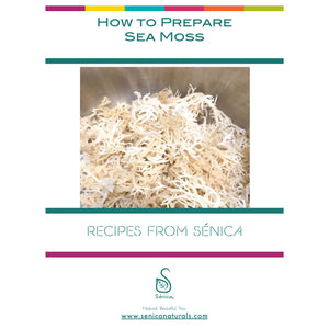 How to Prepare Sea Moss Guide