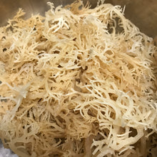 Load image into Gallery viewer, How to Prepare Sea Moss Guide